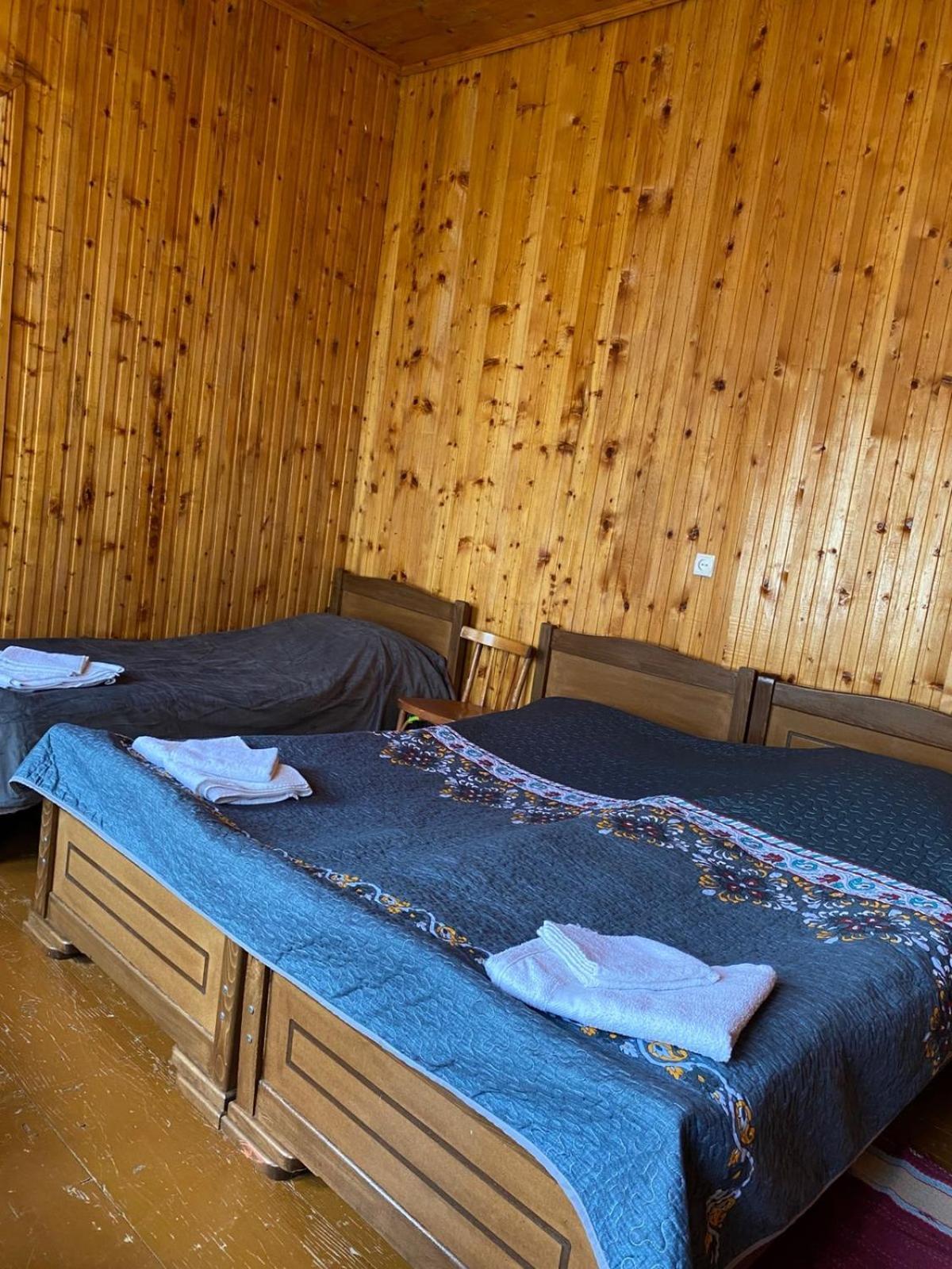 Lia Jamdeliani Guest House Bagvdanari Exteriör bild