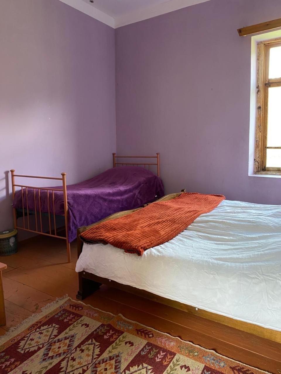Lia Jamdeliani Guest House Bagvdanari Rum bild